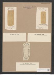 Surirella manca Janisch (de-Toni-Nr.: Genus 53, Species 2366) Zeichnungen Sammlung Grunow Nr. 4772 (NHMW-BOT-W0372897)